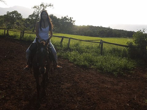 Riding horses in Hawaii